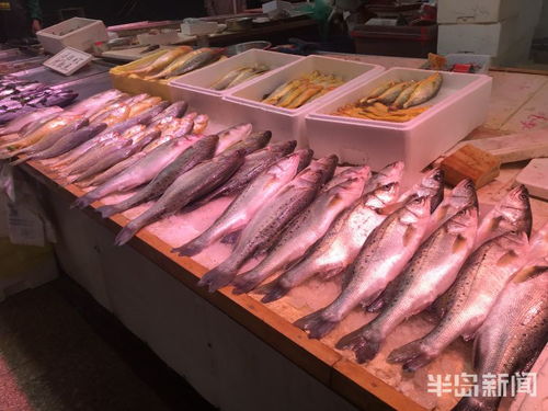 青島水產(chǎn)品交易遇冷，進(jìn)口水產(chǎn)停售，市場(chǎng)監(jiān)管部門(mén)嚴(yán)查進(jìn)貨來(lái)源